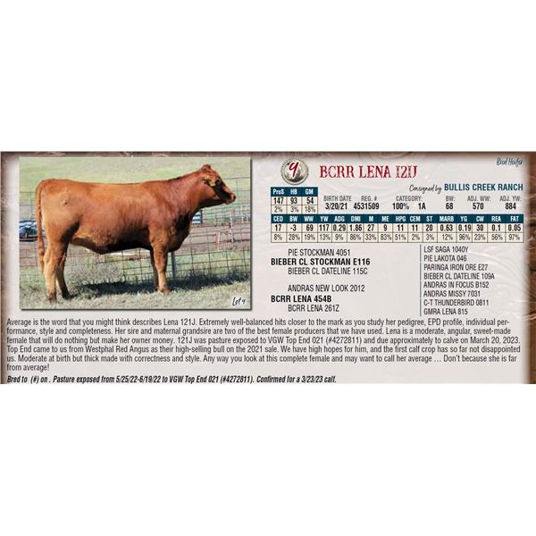 BCRR LENA 121J
