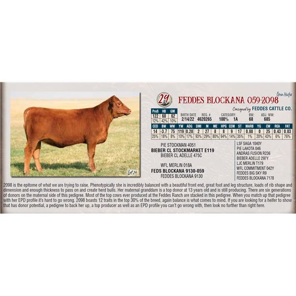 FEDDES BLOCKANA 059-2098