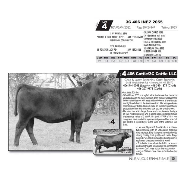 3C 406 INEZ 2055