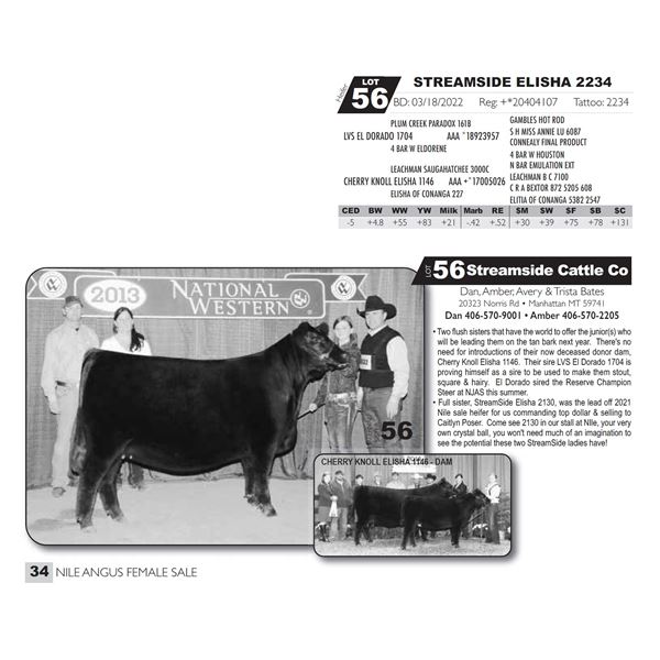 STREAMSIDE ELISHA 2234