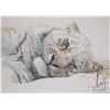 Image 2 : Limited edition print on hardboard "Snowy Nap- Tiger" includes COA, hand signed by artist Robert Bat