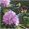 Image 2 : Framed original acrylic on panel painting "Gold Finch and Rhodedendrons" by artist John Mullane, 11"
