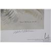 Image 2 : Unframed limited edition, artist signed print "Samantha- Great Horned Owl" pencil signed by artist R