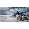 Image 1 : Unframed limited edition, artist signed print "Winter Thaw" pencil signed by artist Jay J. Johnson, 