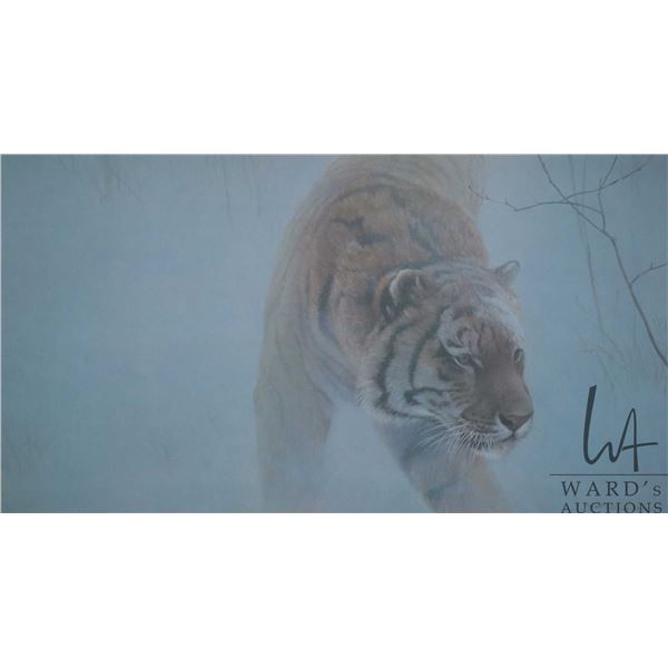 Unframed limited edition, artist signed print  Twilight-Siberian Tiger  pencil signed Robert Bateman