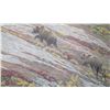 Image 1 : Unframed limited edition, artist signed print "Alaskan Autumn, pencil signed Robert Bateman, A/P 73/