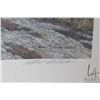 Image 2 : Unframed limited edition, artist signed print "Alaskan Autumn, pencil signed Robert Bateman, A/P 73/