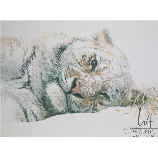 Unframed Rigiclee on board titled  Snowy Nap-Tiger  and ink signed by artist Robert Bateman, 28/225,