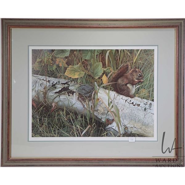 Framed limited edition, artist signed print "Forager's Reward- Red Squirrel, pencil signed by artist