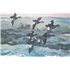 Image 2 : Framed limited edition print titled "White-Winged Scoter", pencil signed by artist Chet Reneson, 474