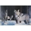 Image 2 : Selection of prints including framed print "Timber Wolf Alert" pencil signed by artist John Stone, 1