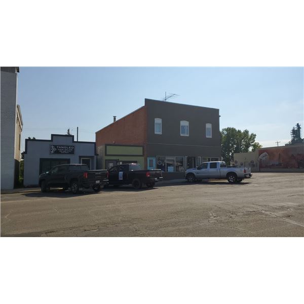 VIKING REAL ESTATE AUCTION