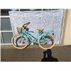 Image 1 : BLUE CRUISER BIKE WITH BASKET