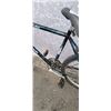 Image 11 : BLUE NO BRAND BIKE AND BLACK ALLEGRO BIKE