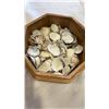 Image 2 : LOT OF SHELL JEWELRY AND SHELLS