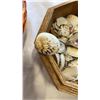 Image 3 : LOT OF SHELL JEWELRY AND SHELLS