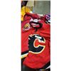 Image 3 : CALGARY FLAMES JERSEY, CANUCKS FLAGS, CHICAGO 23 BASKETBALL JERSEY