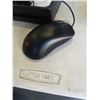 Image 3 : BENQ ZOWIE S2 MOUSE SMALL - TESTED WORKING, RETAIL $89