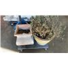Image 1 : 2 LARGE PLANTERS