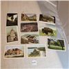 Image 1 : Vintage Postcards, 1 cent stamps