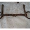 Image 2 : Antique Horse Bits