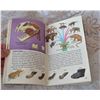 Image 2 : Beautifully Illustrated Vintage Mammals Guide