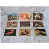 Image 1 : Vintage Collector Cards Front and Back  Birds
