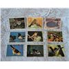 Image 2 : Vintage Collector Cards Front and Back  Birds