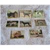 Image 2 : Vintage Collector Cards Front and Back  Dogs