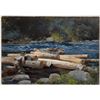 Image 1 : Homer - Hudson River