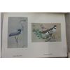Image 2 : Fenwick Lansdowne Album of Bird Pointing Star Weekly Birds of Canada Prints - Lansdowne