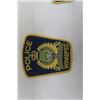 Image 2 : 5 Different Winnipeg Police Sew on Crests/Patches