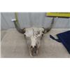 Image 1 : Buffalo Skull - Horn Spread 28"