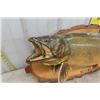 Image 3 : Mounted Walleye 34" Long