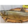 Image 4 : Mounted Walleye 34" Long