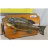 Image 2 : 2 Mounted Fish ; 1) Trout 23" , 1) Bass 16"