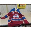 Image 1 : Colorado Avalanche Hoody/Jersey Style #29 Mackinnon Sz XXL