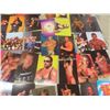 Image 6 : WCW / NWO Superstars of Wrestling Collectible Photos - 103 of 108