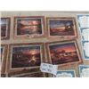 Image 4 : 8 Terry Redlin Collectors Plates with Certificates
