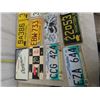 Image 2 : 20 License Plates + Tags