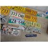 Image 3 : 20 License Plates + Tags