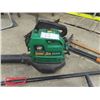 Image 2 : Weed Eater Gas Blower, Ryobi Electric Branch Cutter, Lawn Edger, Dan D Lion Picker, Shovel
