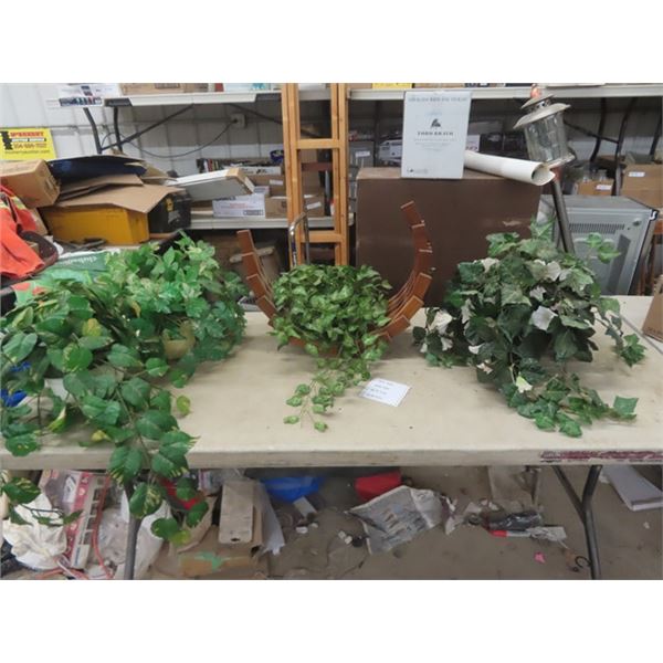 4 No Water/Never Die Plants