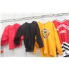 Image 2 : 6 Hockey Jerseys - Local- Sz Med & Hockey Bag