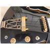 Image 8 : Gibson ES 335 Electric Hollow Body Guitar-Copy with Soft Case