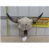 Image 2 : Buffalo Skull 24" Horn Spread