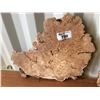 Image 2 : 2 BURL WOOD SLABS APPROX 24"DX1.5"THICK. SANDED BOTH SIDES