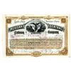 Image 1 : Mexican Central Railway Co. 1887 I/C Stock Certificate
