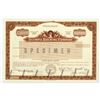 Image 1 : Olympia Brewing Co. 1981 Specimen Stock Certificate