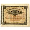 Image 1 : Sociedad Territorial La Plata, 1886 Issued Stock Certificate